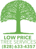 Low Price Tree Services
