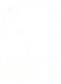 Low Price Tree Services